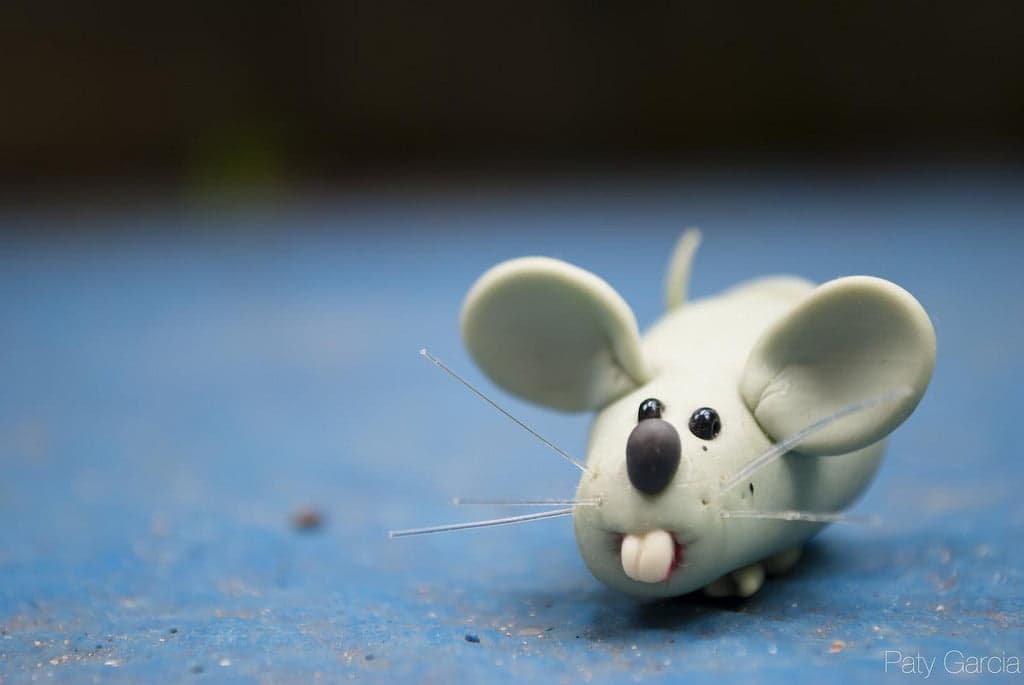 Parar de fumar. Rato de Brinquedo.
